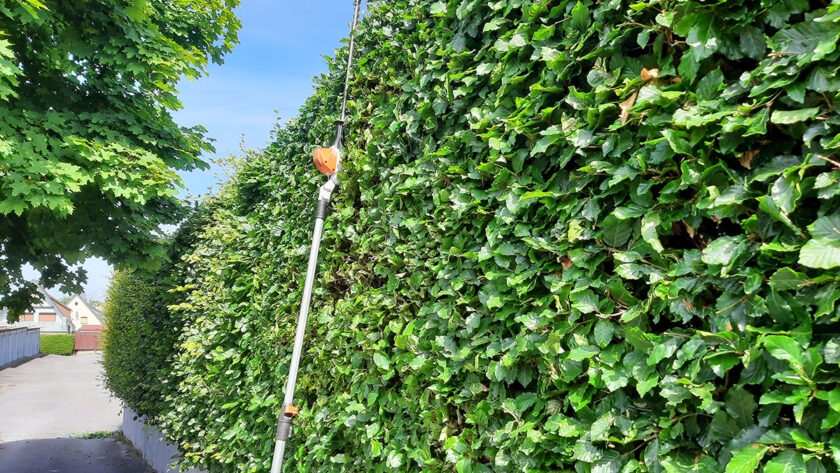 Gartengestaltung - Gartenpflege