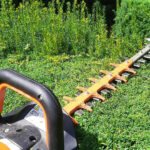 Gartenpflege